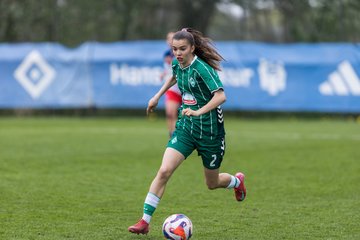 Bild 390 - wBJ Hamburger SV - SV Werder Bremen : Ergebnis: 2:2